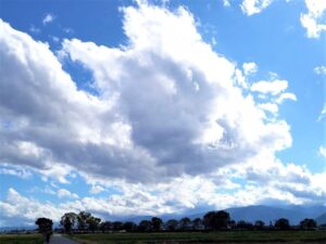 長野県安曇野市の農業水路拾か堰の秋