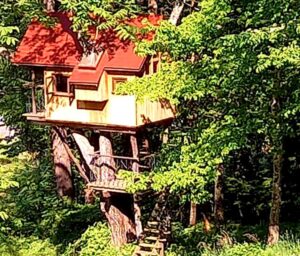 木の家　外観　赤い屋根