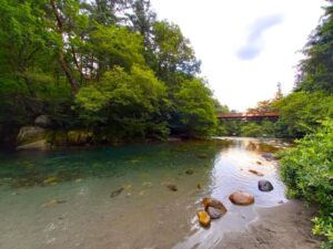 烏川渓谷緑地の川と橋