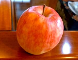 頂き物のリンゴ