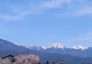 2024年の春　常念岳と桜