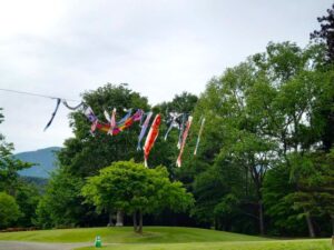 アルプスあづみの公園の鯉のぼり１