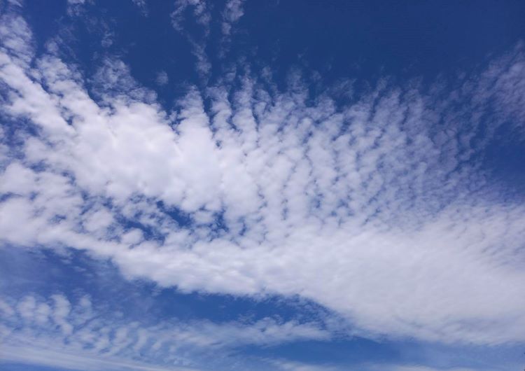 7月の青空