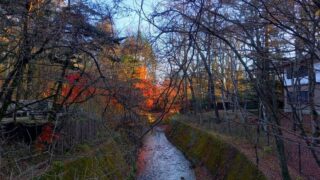 軽井沢の川と紅葉