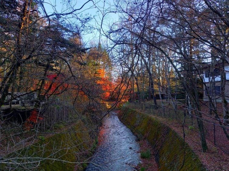 軽井沢の川と紅葉