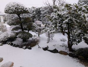 ２０２５年３月３日の安曇野市内自宅　雪景色