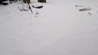 3月３日の雪