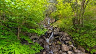 寝覚めの床　石清水