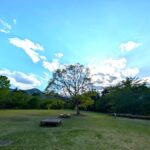 国営アルプスあづみの公園　木々と山々