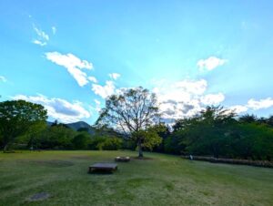 国営アルプスあづみの公園　木々と山々
