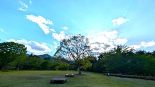 国営アルプスあづみの公園　木々と山々