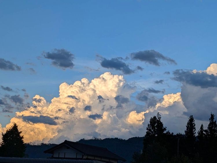 夏空の入道雲　２０２５年７月