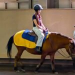 木曽馬に乗る１