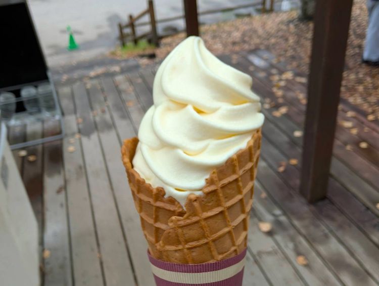 コーンソフトクリーム