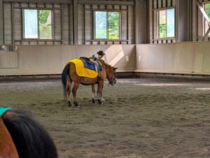 飼育員さんと木曽馬