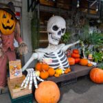 ピア万代　マルシェ入り口