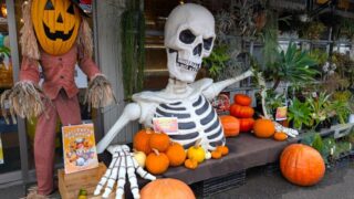 ピア万代 マルシェ入り口