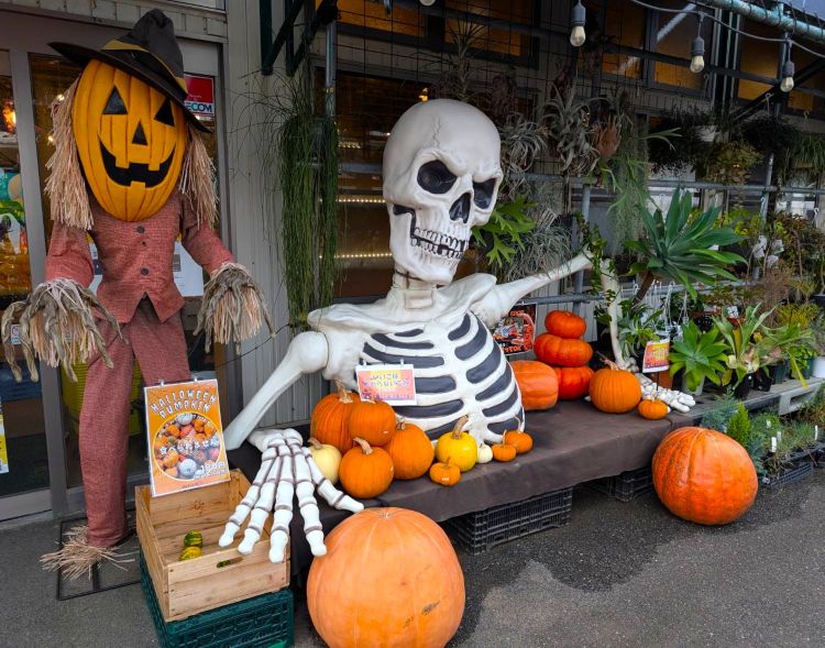 ピア万代 マルシェ入り口