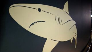 サメの模様　マリンピア日本海