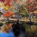 小諸城址懐古園の池