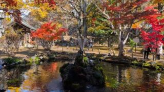 小諸城址懐古園の池