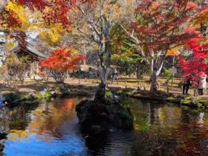 小諸城址懐古園の池