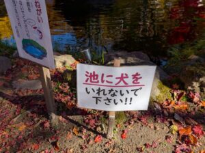 小諸城址懐古園の犬の看板