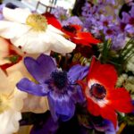アネモネの花束