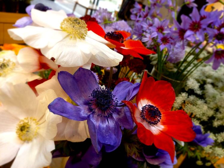 アネモネの花束