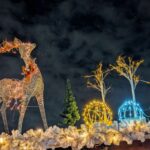 クリスマスマーケットのイルミネーション２　鹿