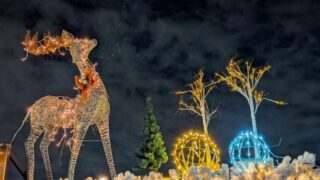 クリスマスマーケットのイルミネーション２　鹿