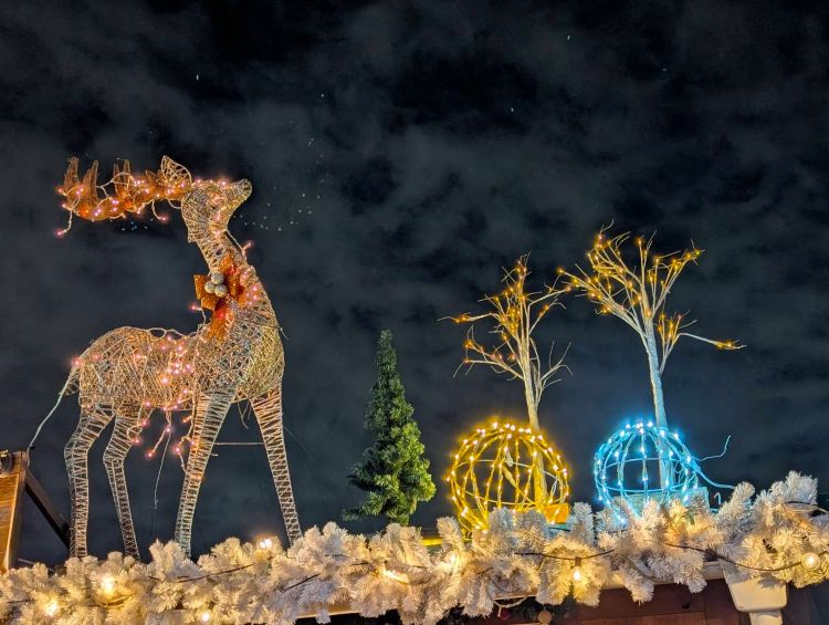 クリスマスマーケットのイルミネーション２　鹿