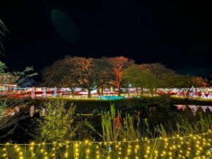 軽井沢プリンスの夜景