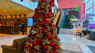 ブエナビスタ　クリスマスツリー　２０２５年