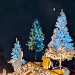 クリスマスマーケットのイルミネーション　もみの木