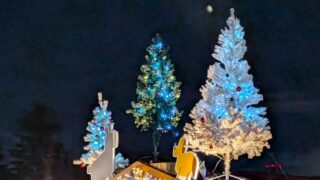 クリスマスマーケットのイルミネーション　もみの木