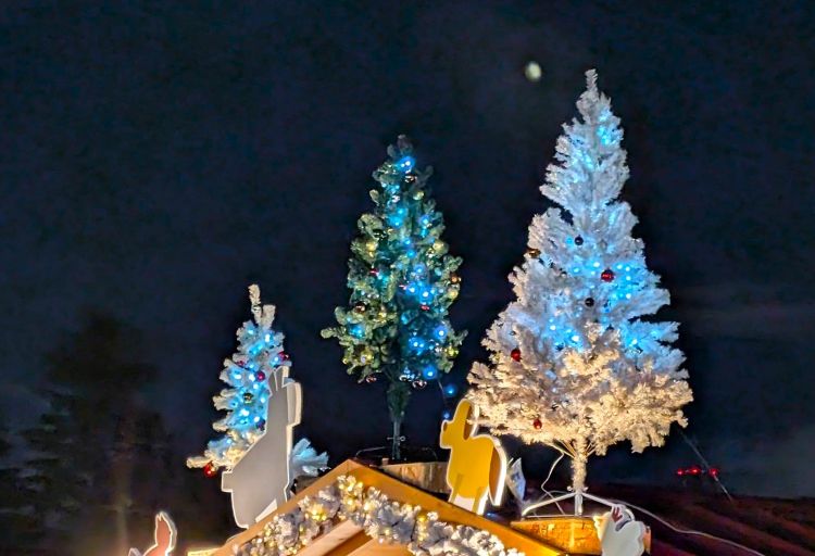 クリスマスマーケットのイルミネーション　もみの木