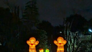 ジンジャーブレッドマン