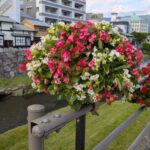 四柱神社前の花